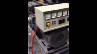 DPX Power Lister Petter 165 kVA generator set [upl. by Bellamy]