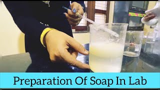 Soap Making  How To Make Soap  Saponification Process I By Pandey Mam [upl. by Namurt806]