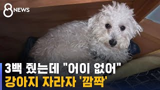 quot아기일 땐 몰랐는데quot유전자 검사 결과 깜짝  SBS 8뉴스 [upl. by Aynav]