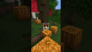 Cómo ver las HITBOX en Minecraft Shorts [upl. by Galasyn527]