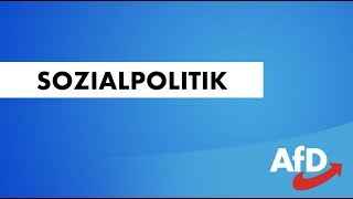 SOZIALPOLITIK [upl. by Lonne]