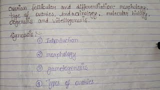 ovarian follicular and differentiation  morphology type of ovarian endocrinology in hindi msc zoo [upl. by Gray]