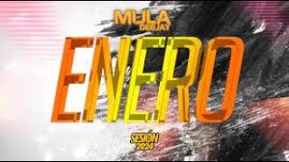 Sesion ENERO 2024 Mula Deejay Reggaeton Comercial Trap Latino Tik Tok Dembow [upl. by Beichner]