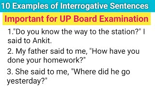 10 Examples of Interrogative sentences Direct and indirect speech solved exercise class 10th [upl. by Spevek]