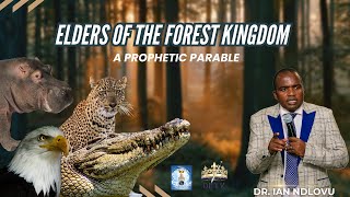 Elders of the Forest Kingdom  a prophetic parable [upl. by Enytnoel486]