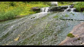 2 minutes of tranquility  Visit upper Pinnacle Creek Monashee mountains Cherryville BC Canada [upl. by Howlend]