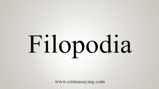 How To Say Filopodia [upl. by Naggem72]