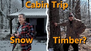 Cabin Trip  Snow and should we Timber [upl. by Mathis455]