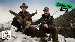 Stunning Gredos Ibex in Spain [upl. by Childs]