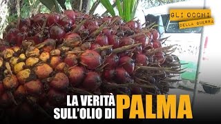 La verità sullolio di palma [upl. by Arramas]