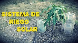 Como Hacer un Sistema de Riego Solar – Riego a Goteo [upl. by Tillion]