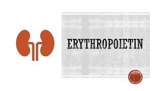 Erythropoietin [upl. by Lunnete]