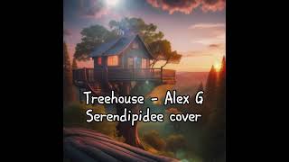 Treehouse  Alex G  Serendipidee cover [upl. by Darej165]