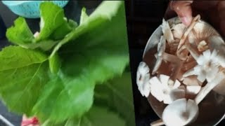 Kaddu bhaji mushroom aur barbati ki sawdist recipe🤤youtubevideo youtubevlog 😋🤤🤤 [upl. by Chapin746]