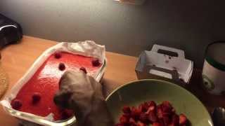 Comment faire un cheesecake [upl. by Delle]