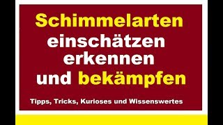 Schimmelarten analysieren Schimmelbefall erkennen Schimmel bekämpfen Schimmelpilze loswerden [upl. by Ybba]