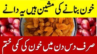 Iron Rich Foods  Khoon ki kami ka ilaj in Urdu  Khoon ki kami ko kaise pura karen  Iron Food List [upl. by Drice]