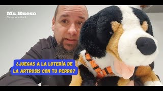 ¿Juegas a la lotería de la artrosis con tu perro Mr Hueso [upl. by Nathanial]