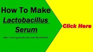 DIY Lactobacillus Serum Video tutorial and instructions [upl. by Chauncey]