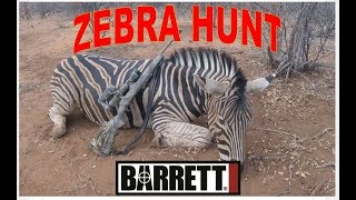 Zebra Hunt Using A Barrett Fieldcraft 65 Creedmoor [upl. by Irac713]