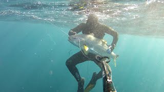 Pesca submarina Corvina gorda entre jureles [upl. by Kristan]