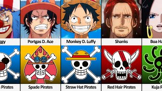 Pirate Crews and their Captains in One Piece [upl. by Strephon]