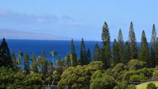 The Golf Villas at Kapalua 12T1  Maui Hawaii [upl. by Bluhm]