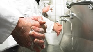 Hand Washing Technique  Campden BRI [upl. by Nollad]