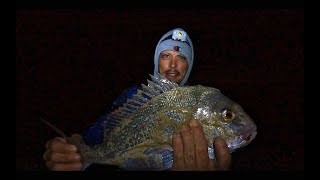 Catch and Cook SNAPPER amp WHITING  Spear Rock amp Beach Fishing [upl. by Gough]