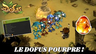 LOBTENTION DU DOFUS POURPRE  DOFUS [upl. by Adlar]