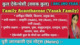 कुल ऐकेन्थेसी वसक कुल  Family Acanthaceae Vasak Family  Economics important  Bsc2ndyear [upl. by Merci]