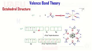 Valence Bond Theory Octahedral Inner Outer Orbital Complexes Tetrahedral Square Planer High Low Spin [upl. by Tegdirb307]