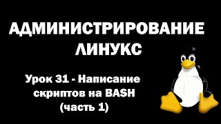 Администрирование Линукс Linux  Урок 31  Написание скриптов на bash часть 1 [upl. by Eeralav779]