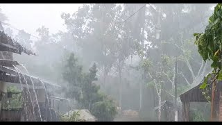 Heavy Rain and Lightning in Village Life  Storm And Strong Thunder Sound In The Village [upl. by Rusel157]