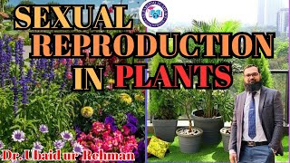 145 Sexual Reproduction in Plants  Alternation of Generation  Class 10  Biology [upl. by Rimma]