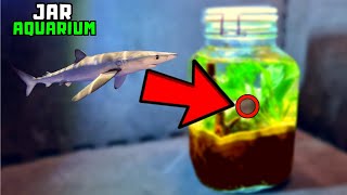 I turned a jar into an aquarium THIS Happened [upl. by Edea]