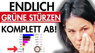 💥BrandenburgUmfrage Grüne IM FREIEN FALL AfD auf REKORDHOCH [upl. by Dennis242]