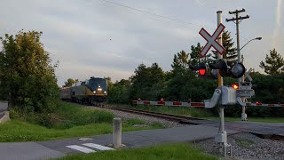 P42DC 915 with Train 46 approaches Ottawa at John Murphy Park on July 22 2024 [upl. by Guria78]