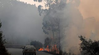 Hetedik napja lángol az erdő Portugáliában [upl. by Jemimah]