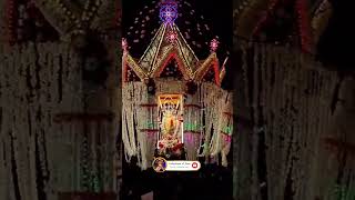 Chariot Procession in Little Mount Shrine ❤️‍🔥 ll Annual Feast 2024 ll shortsvideo avemaria [upl. by Aissac]