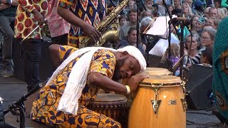 Gyedu Blay Ambolley amp Sekondi Band  E day walk for Ground  LIVE at Afrikafestival Hertme 2019 [upl. by Isyed174]