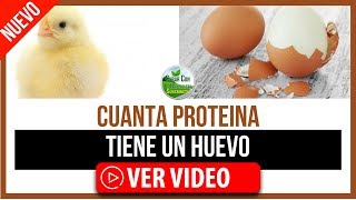 QUE NUTRIENTES Y CUANTA PROTEINA TIENE UN HUEVO  VALOR NUTRICIONAL DEL HUEVO [upl. by Reede]