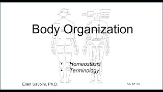 Body Organization BIO 201 Human Anatomy amp Physiology I [upl. by Eenert]