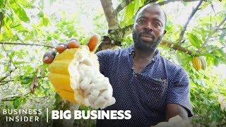 Ghana Grows Our Cocoa So Why Can’t It Make Chocolate  Big Business [upl. by Filemon]