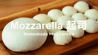 How To Make Mozzarella Cheese With Pasteurised Milk  Cooking HowTo beanpandacook ​ [upl. by Ayotan]