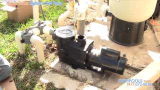 How To Replace a Pool Pump With an Energy Efficient Pool Pump [upl. by Adniroc]