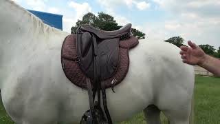 The correct way to put on ReactorPanel Numnahs and Saddle pads [upl. by Dirtsa154]