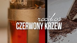 Rooibos herbata jak parzyć czerwonokrzew właściwości Czajnikowypl [upl. by Haorbed124]