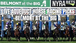 Live Aqueduct Horse Racing Picks  Belmont at the Big A [upl. by Alius]