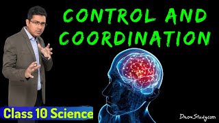 Control and Coordination  CBSE Class 10 X Science Biology  Toppr Study [upl. by Malvino417]